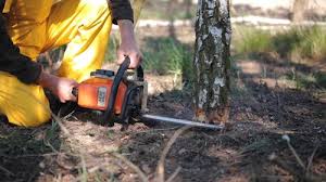 Best Commercial Tree Services  in Coyne Center, IL